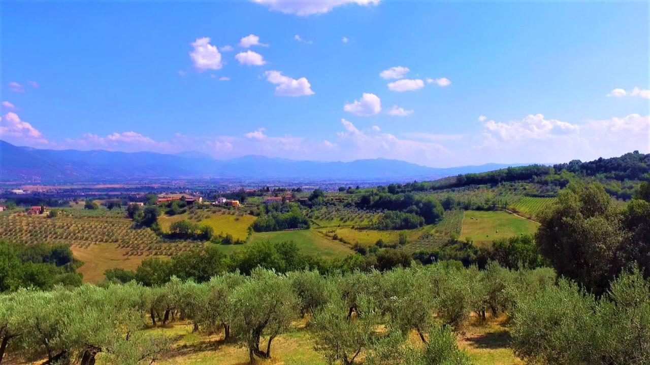 Agriturismo Camiano Piccolo Монтефалько Экстерьер фото