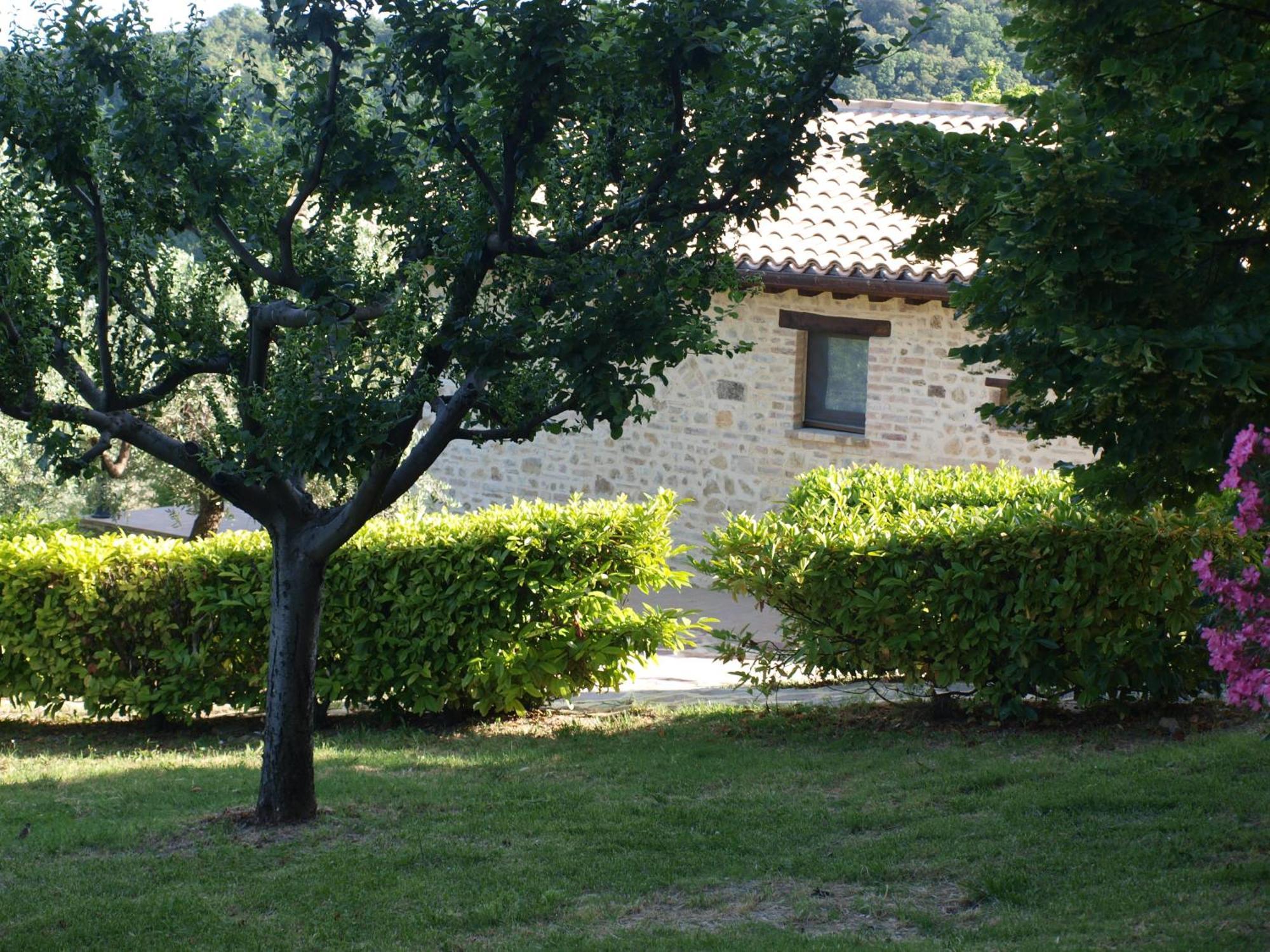 Agriturismo Camiano Piccolo Монтефалько Экстерьер фото
